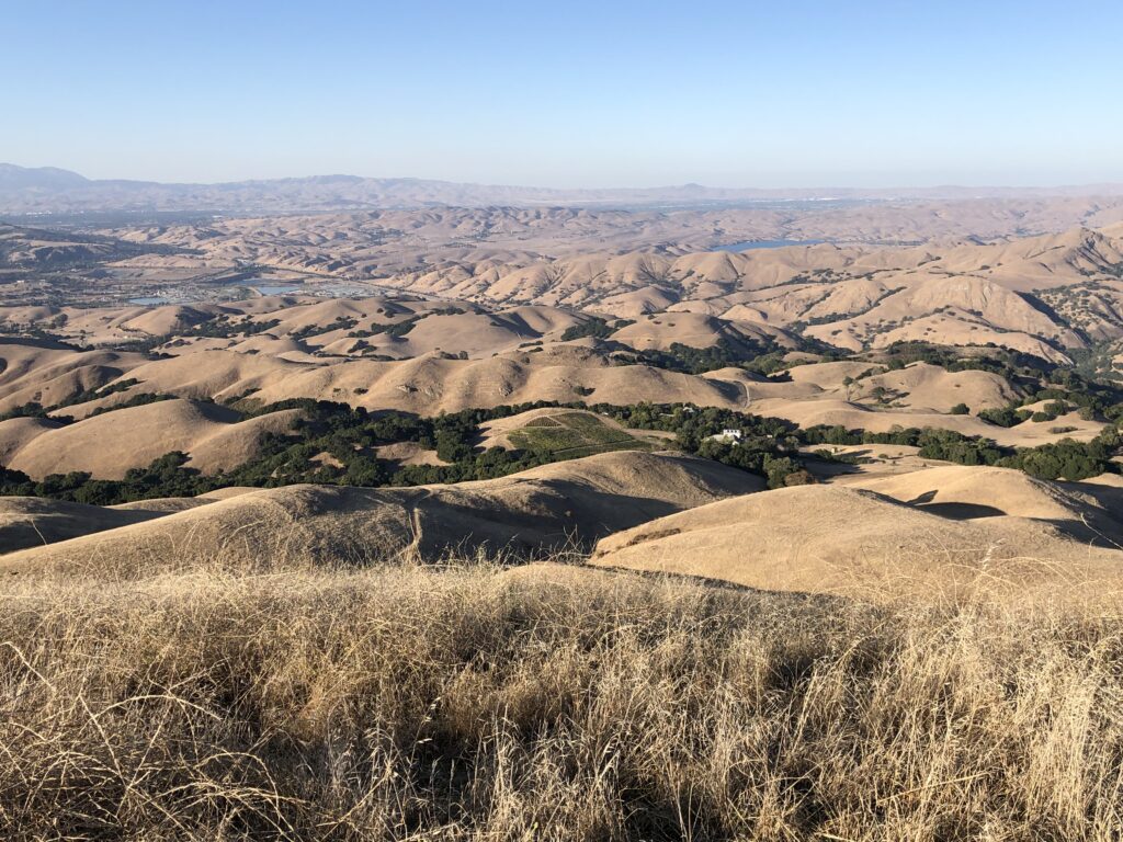 Mission Peak's Vineyard view from the summit